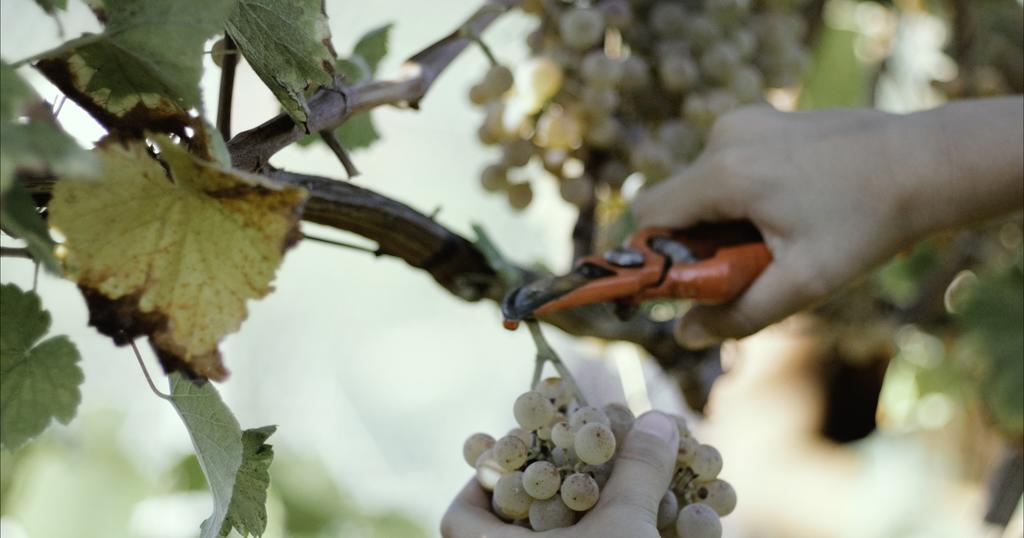 בית הארחה לוסאדה 	Quinta De Lourosa מראה חיצוני תמונה