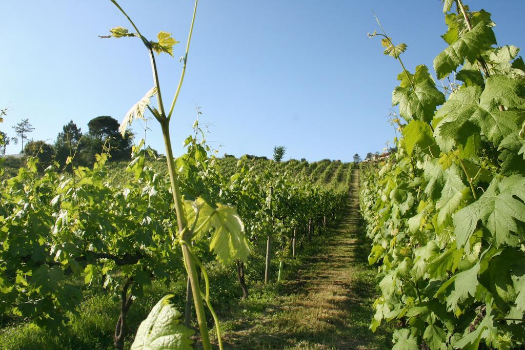 בית הארחה לוסאדה 	Quinta De Lourosa מראה חיצוני תמונה