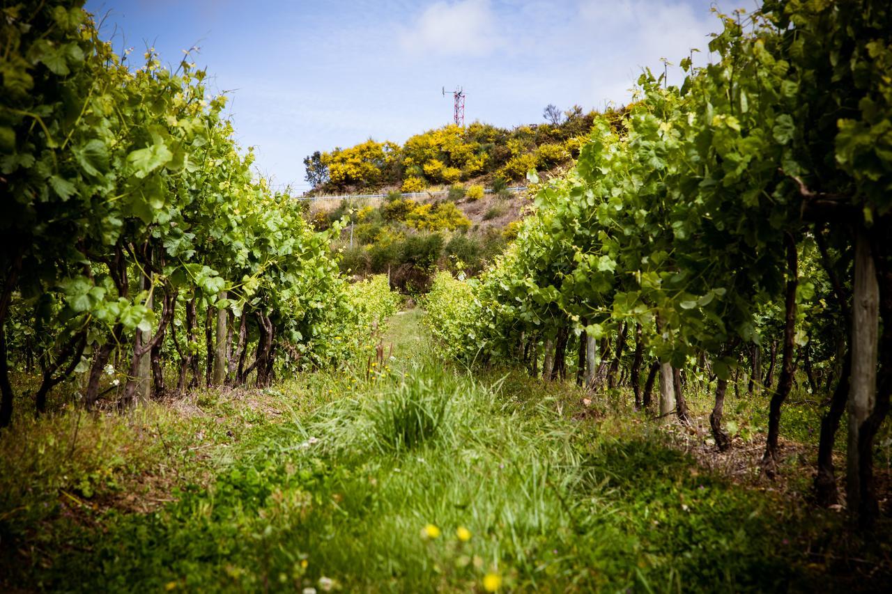 בית הארחה לוסאדה 	Quinta De Lourosa מראה חיצוני תמונה